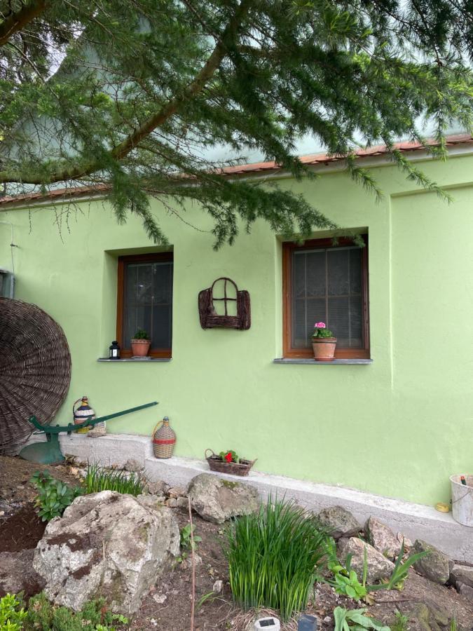 Na Upati Palavy Hotel Horni Vestonice Ngoại thất bức ảnh
